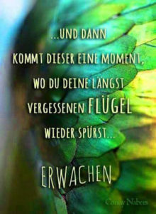 Erwachen