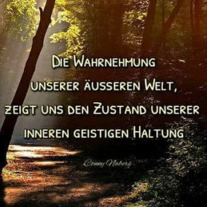 Wenn alles schief läuft