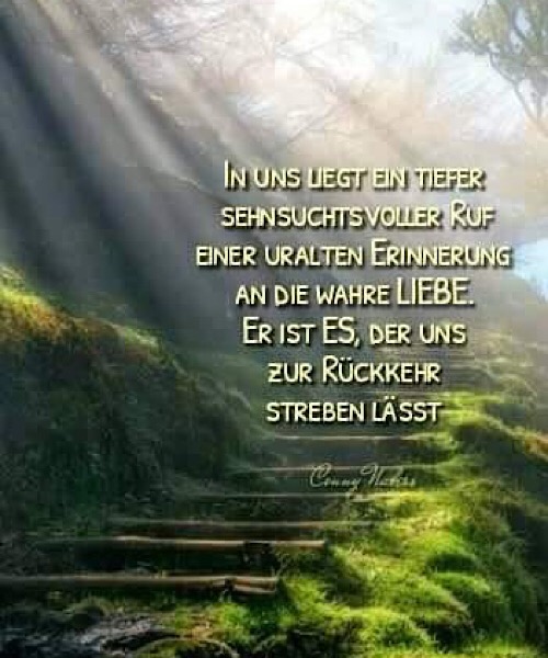 Der sehnsuchtsvolle Ruf