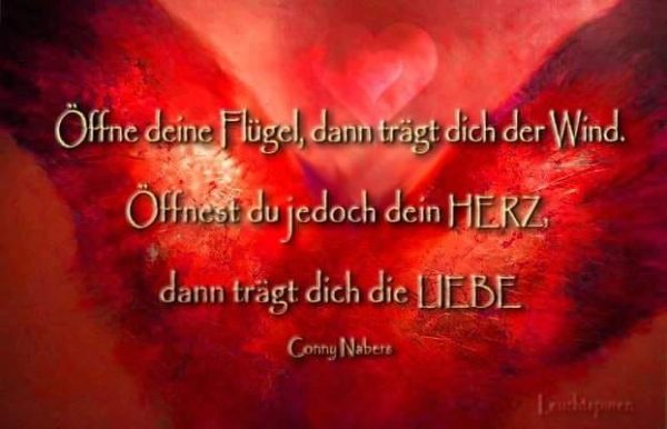 Öffne deine Flügel