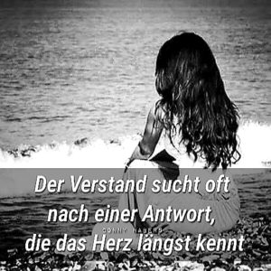 Der Verstand sucht Antworten