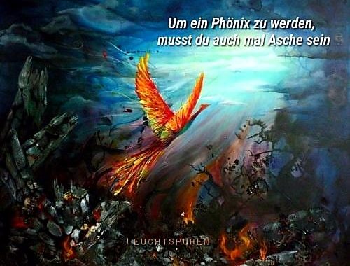 Phönix aus der Asche