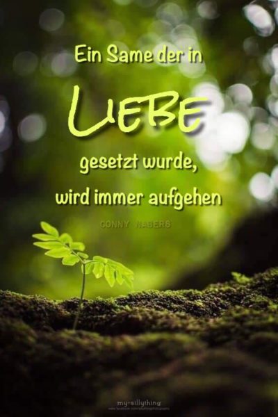 ein same der in liebe