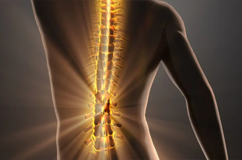 Geistige Wirbelsäulen